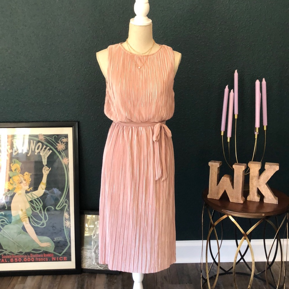 BB DAKOTA Blush pink midi dress Size XS